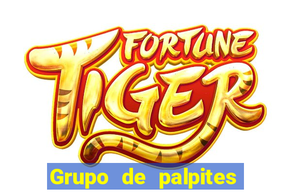 Grupo de palpites de futebol gratis